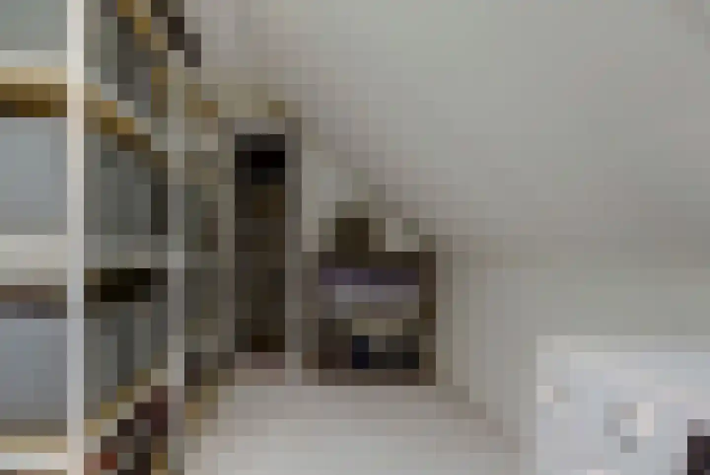 Tweelingen 22 Elst thumbnail 27