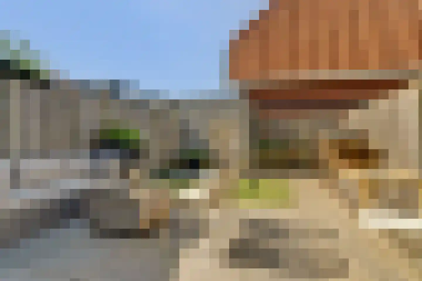 Tweelingen 22 Elst thumbnail 29