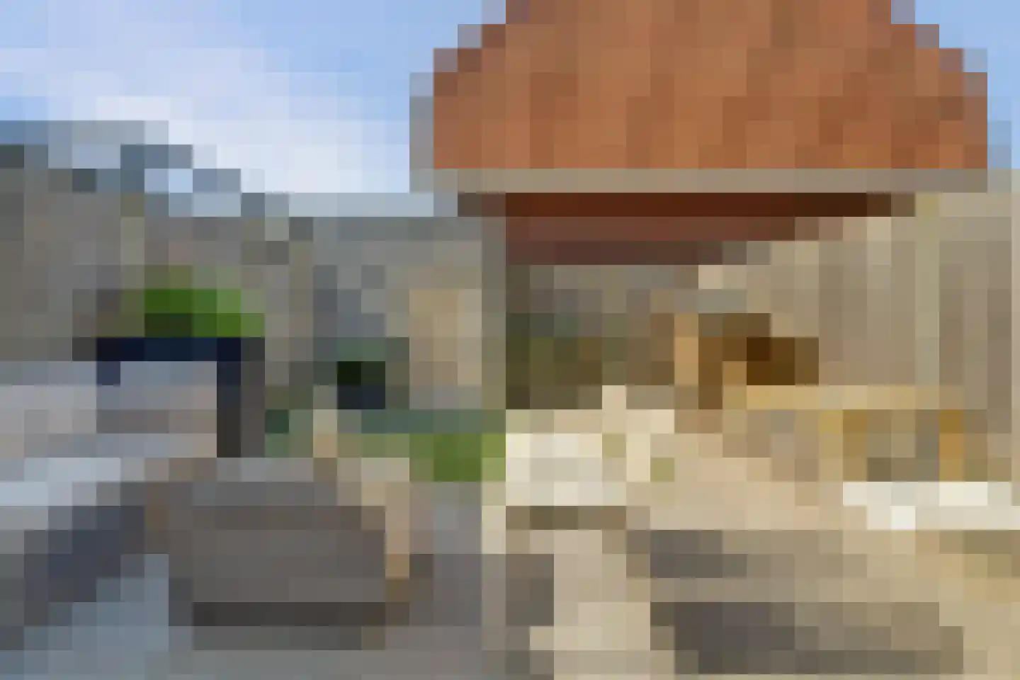 Tweelingen 22 Elst thumbnail 30