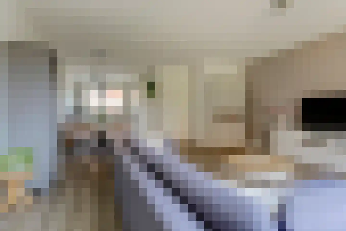 Tweelingen 22 Elst thumbnail 6