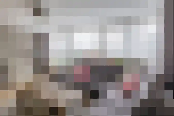 Tweelingen 34 Schijndel thumbnail 10