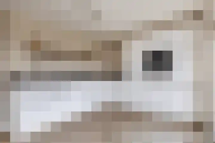 Tweelingen 34 Schijndel thumbnail 14