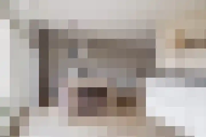Tweelingen 34 Schijndel thumbnail 16