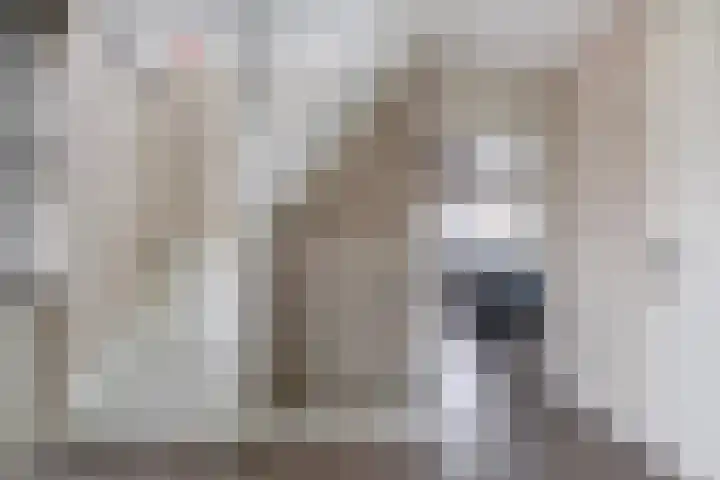 Tweelingen 34 Schijndel thumbnail 18