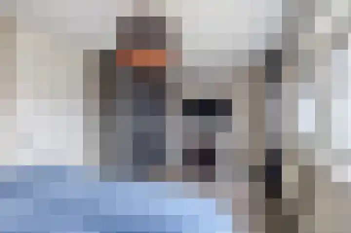 Tweelingen 34 Schijndel thumbnail 21