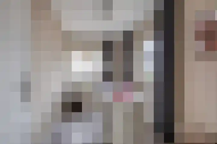Tweelingen 34 Schijndel thumbnail 23