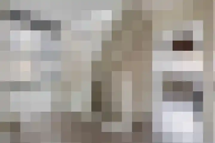 Tweelingen 34 Schijndel thumbnail 27