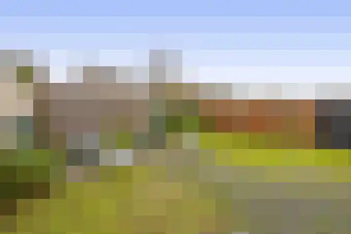 Tweelingen 34 Schijndel thumbnail 33