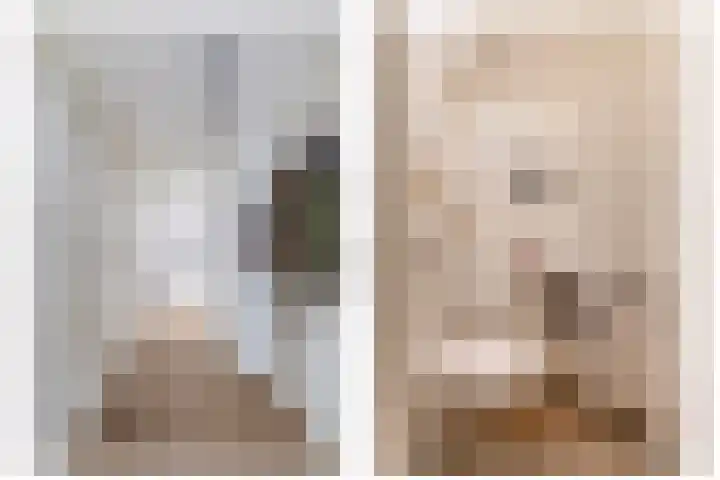 Tweelingen 34 Schijndel thumbnail 5