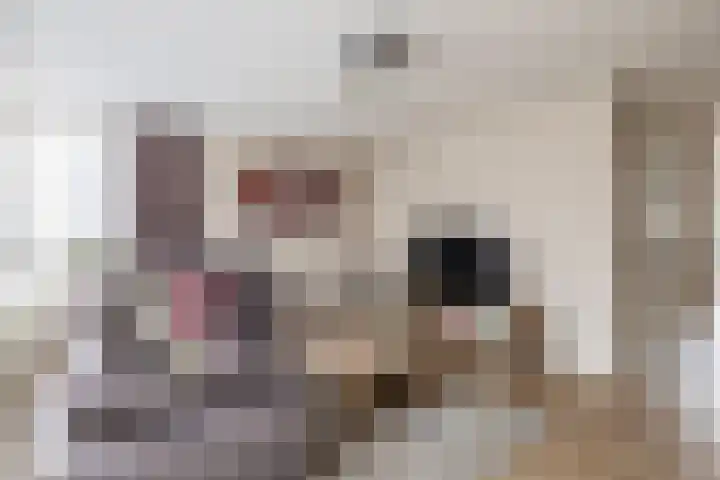 Tweelingen 34 Schijndel thumbnail 7