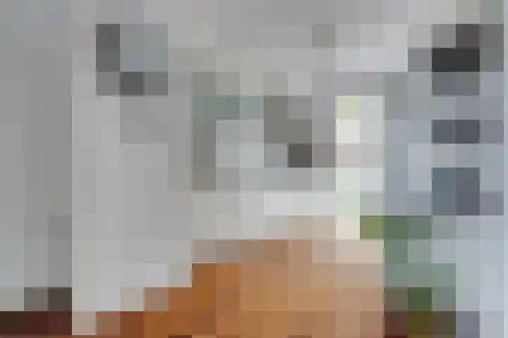 Tweelingen 5 Amersfoort thumbnail 11