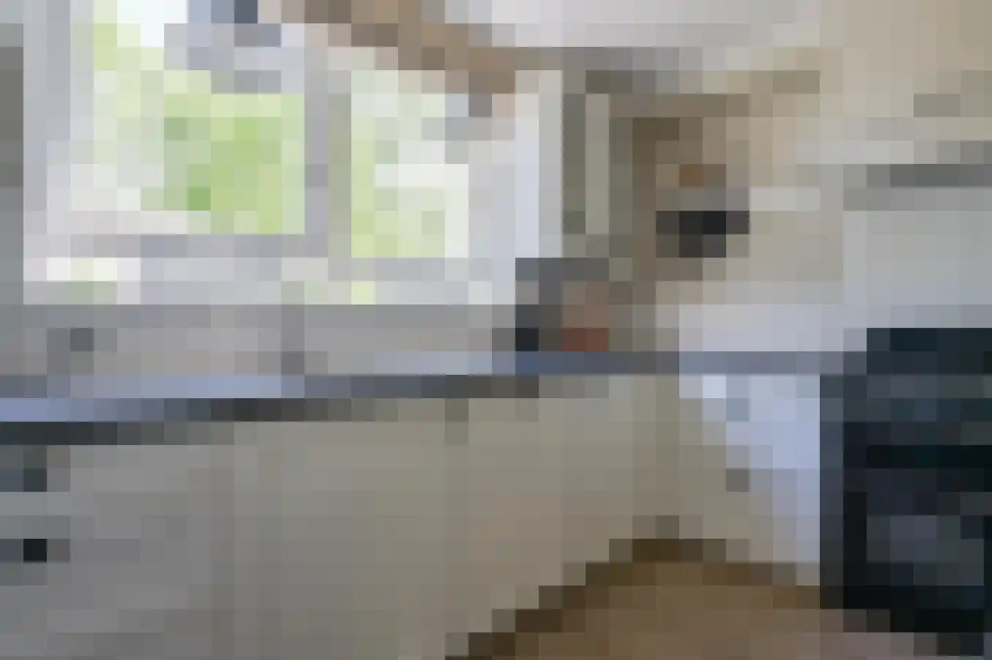 Tweelingen 55 Zeewolde thumbnail 4