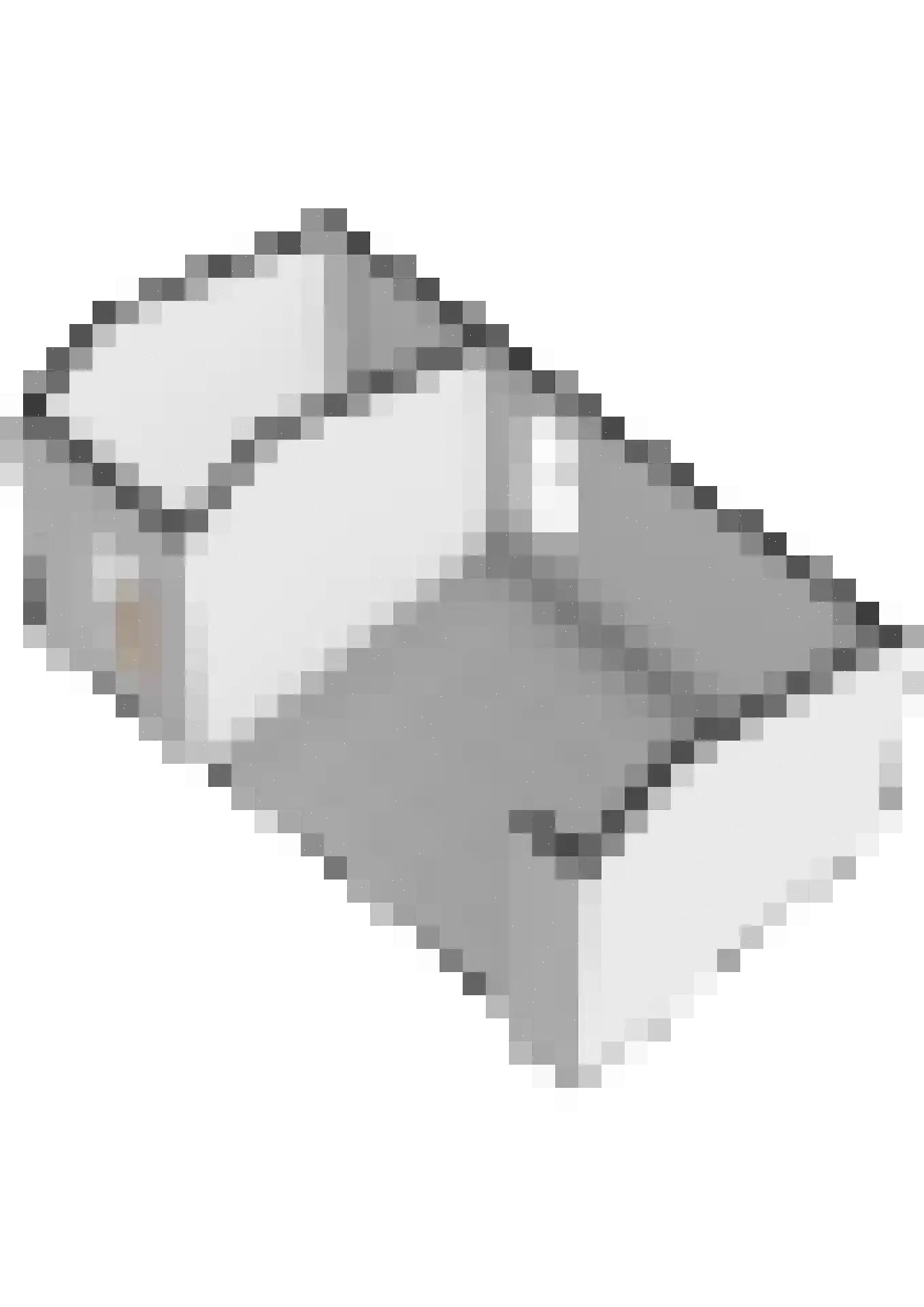 Tweelingen 55 Zeewolde thumbnail 65