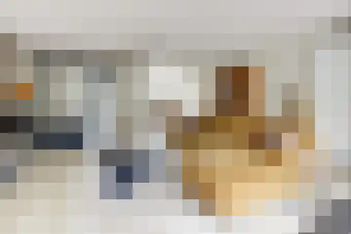 Tweelingen 85 Zeewolde thumbnail 11