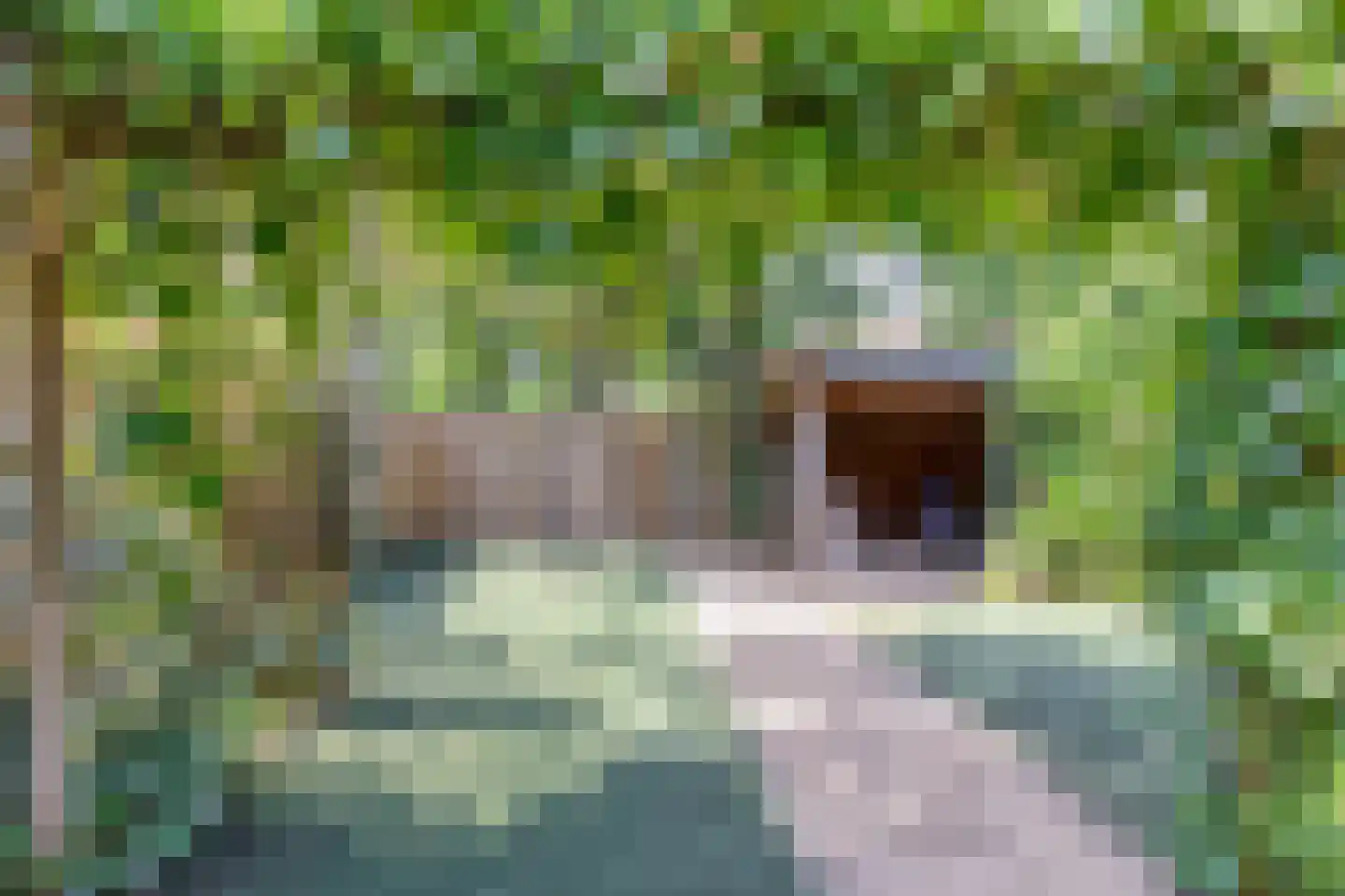 Tweelingenlaan 125 Son en Breugel thumbnail 34