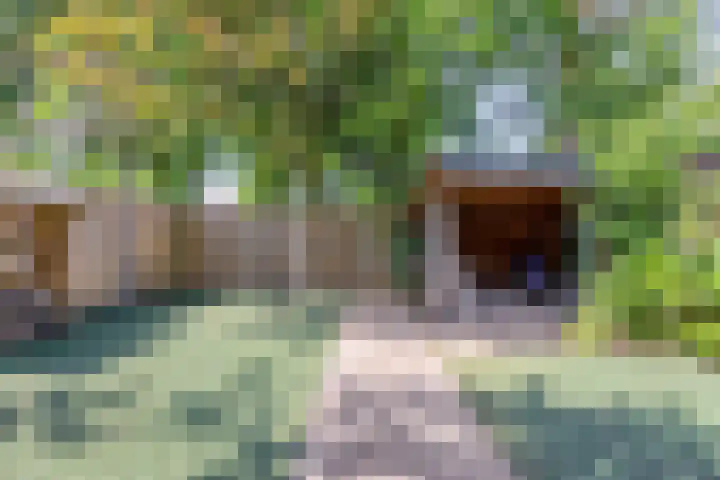 Tweelingenlaan 125 Son en Breugel thumbnail 36