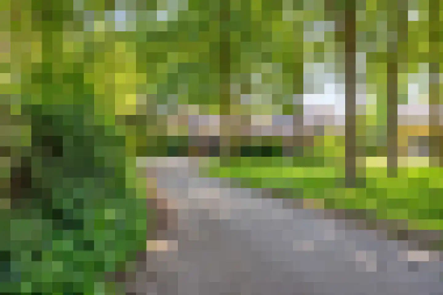 Tweelingenlaan 125 Son en Breugel thumbnail 41