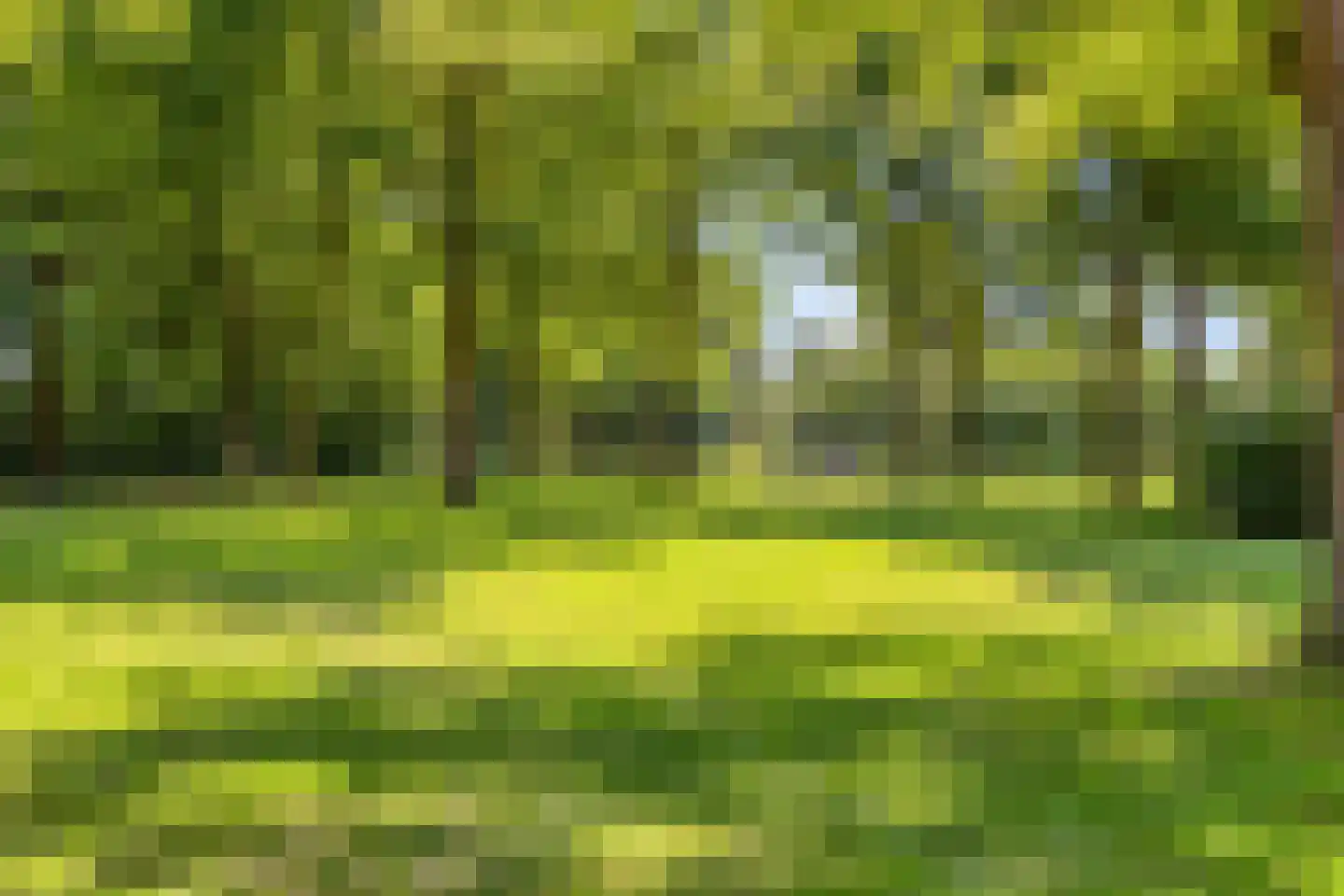 Tweelingenlaan 125 Son en Breugel thumbnail 42