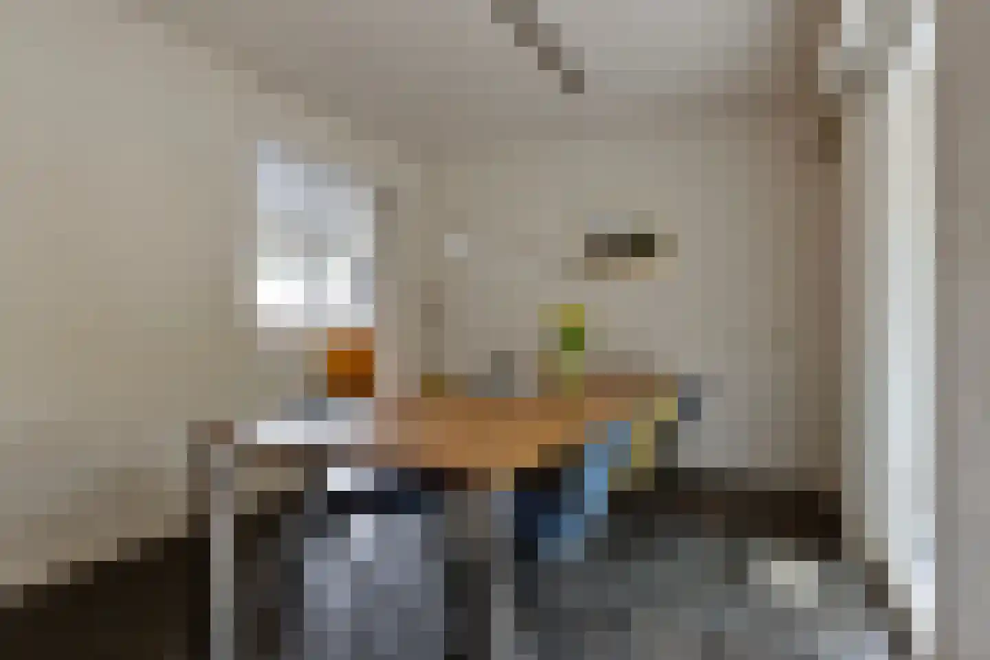 Tweelingenlaan 16 Eindhoven thumbnail 13