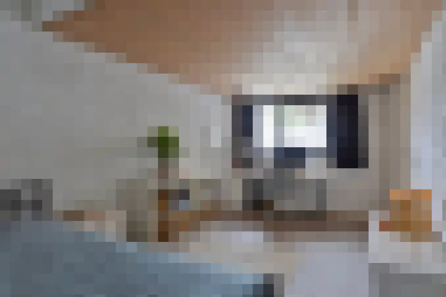 Tweelingenlaan 16 Eindhoven thumbnail 19