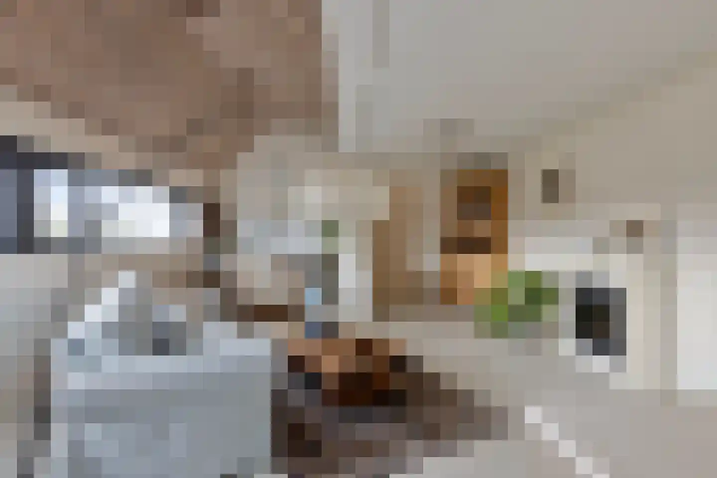 Tweelingenlaan 16 Eindhoven thumbnail 30