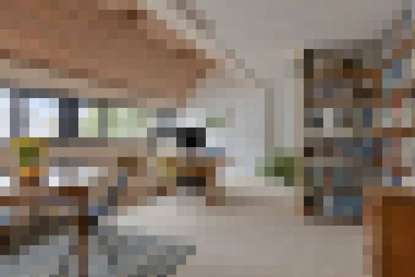 Tweelingenlaan 16 Eindhoven thumbnail 31