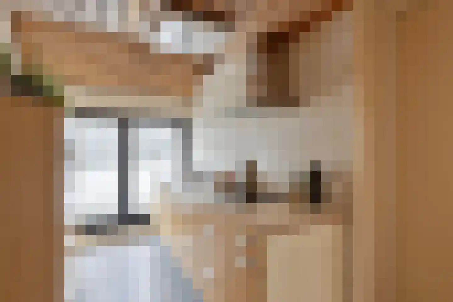 Tweelingenlaan 16 Eindhoven thumbnail 33