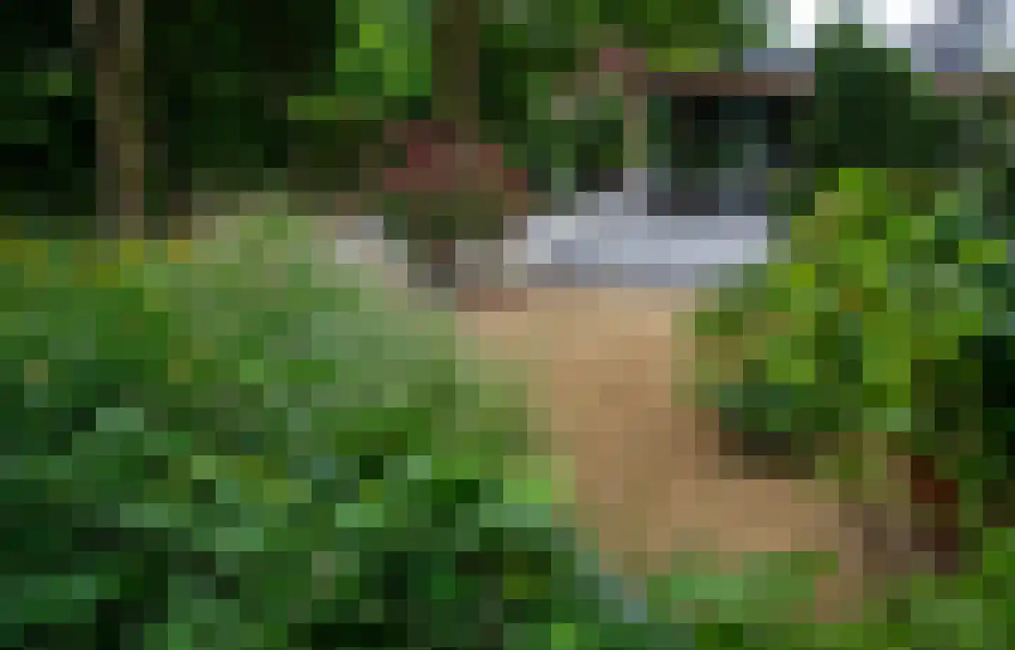 Tweelingenlaan 16 Eindhoven thumbnail 47