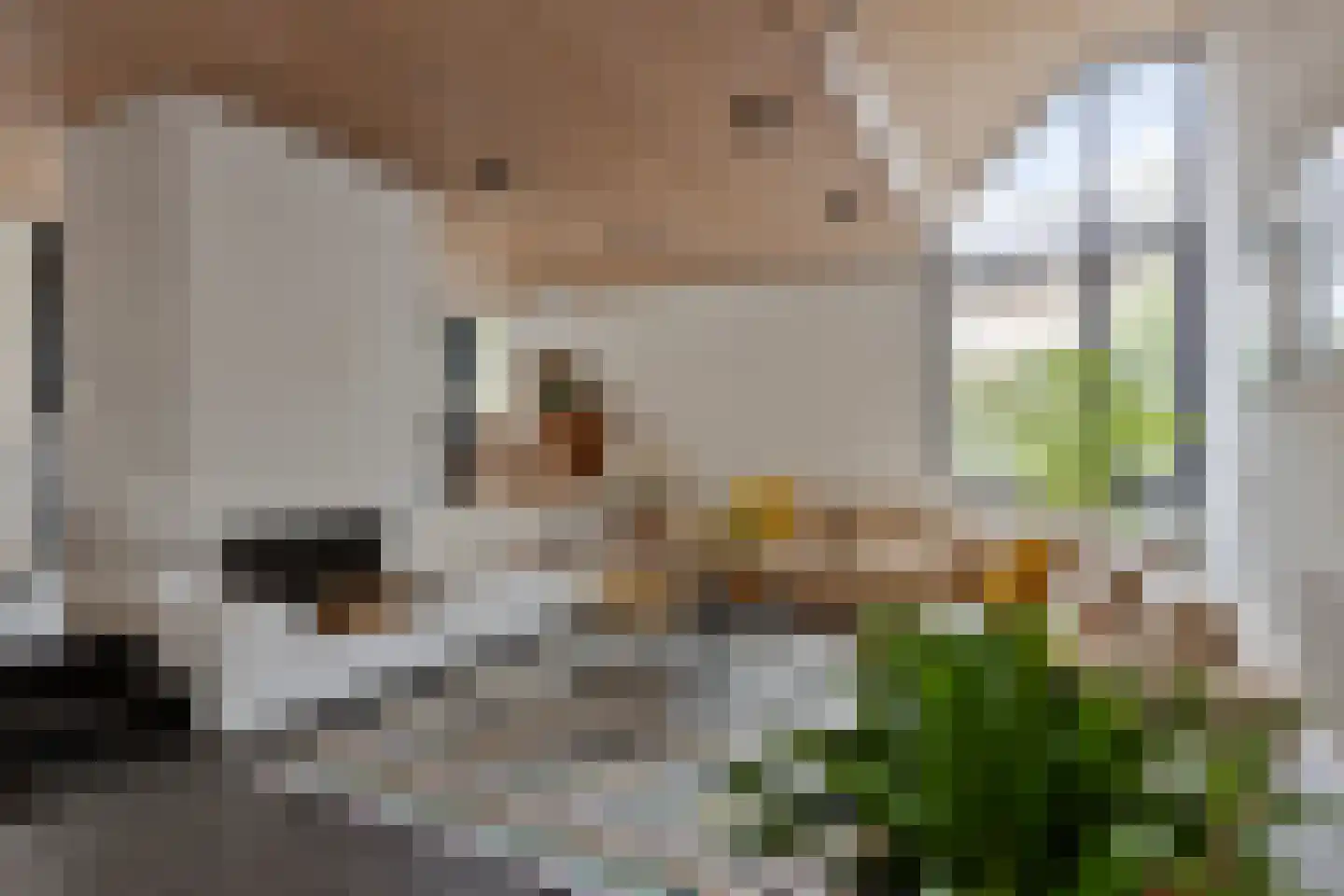 Tweelingenlaan 16 Eindhoven thumbnail 5