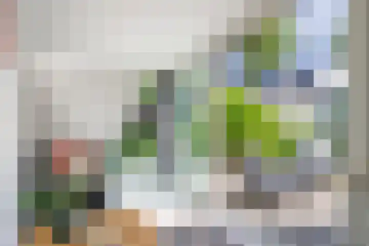 Tweelingenlaan 2 Eindhoven thumbnail 13