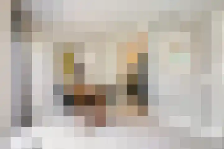 Tweelingenlaan 2 Eindhoven thumbnail 15