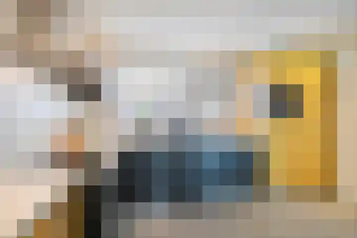 Tweelingenlaan 2 Eindhoven thumbnail 17