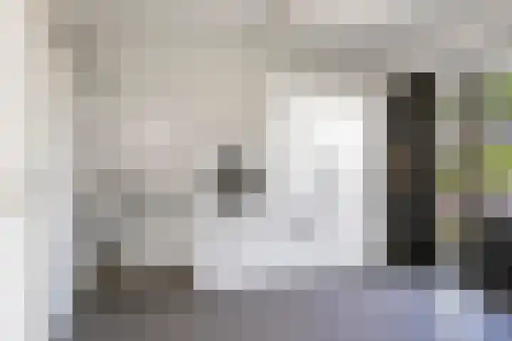 Tweelingenlaan 2 Eindhoven thumbnail 18