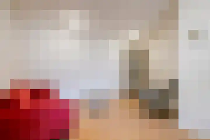 Tweelingenlaan 2 Eindhoven thumbnail 19