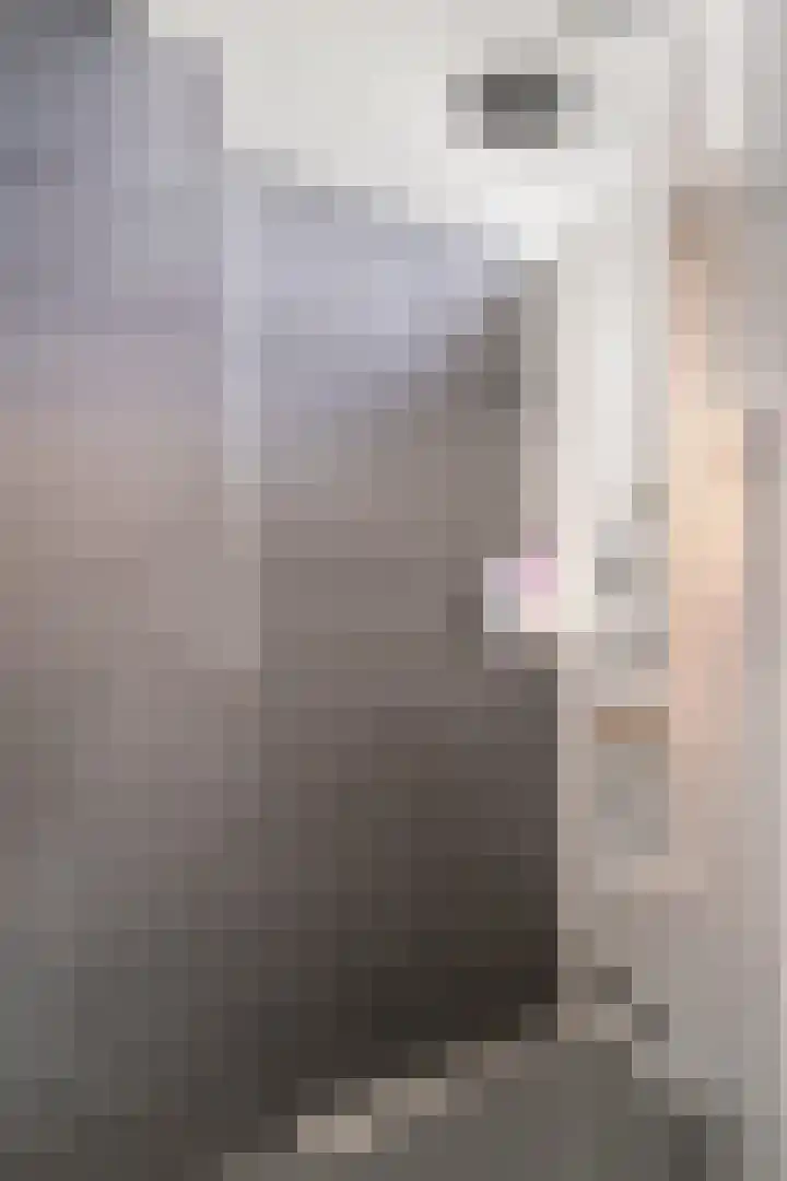 Tweelingenlaan 2 Eindhoven thumbnail 24