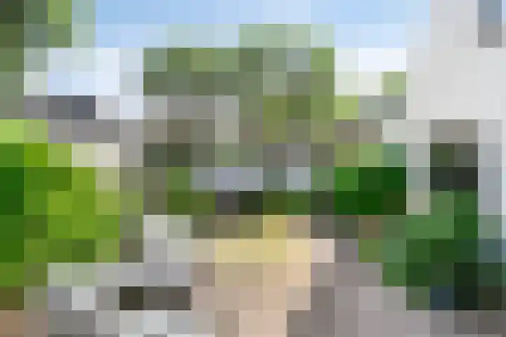 Tweelingenlaan 2 Eindhoven thumbnail 37
