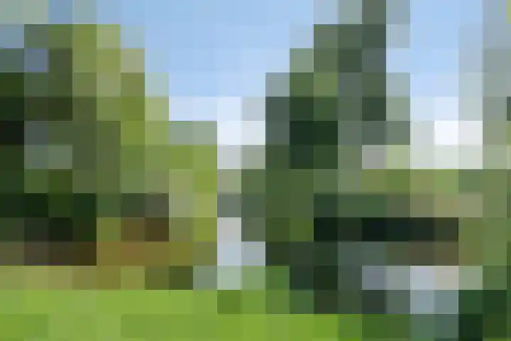 Tweelingenlaan 2 Eindhoven thumbnail 38