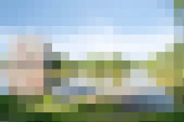 Tweelingenlaan 2 Eindhoven thumbnail 39
