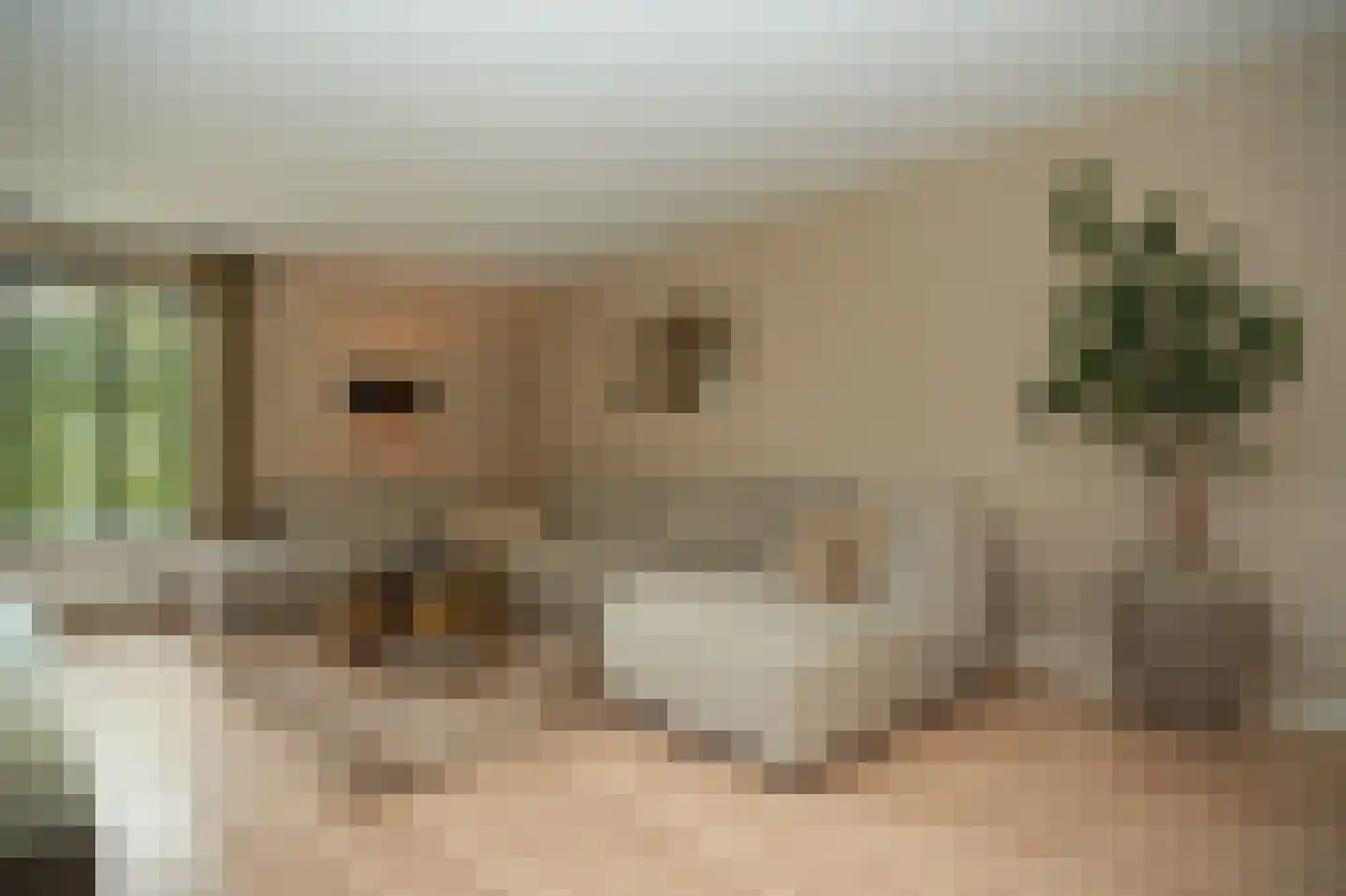 Tweelingenlaan 21 Eindhoven thumbnail 11