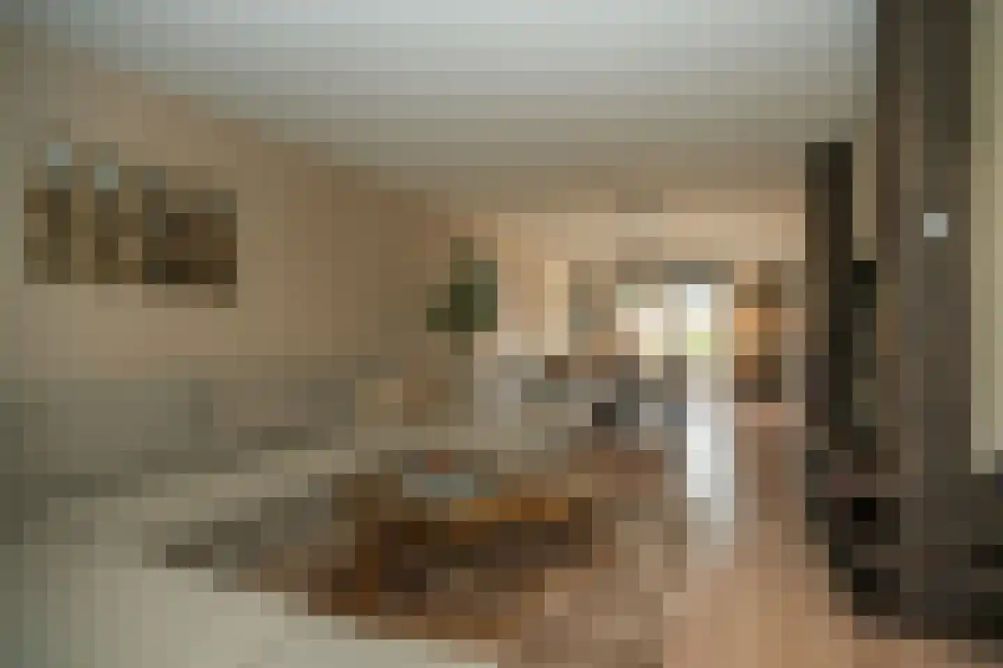 Tweelingenlaan 21 Eindhoven thumbnail 15