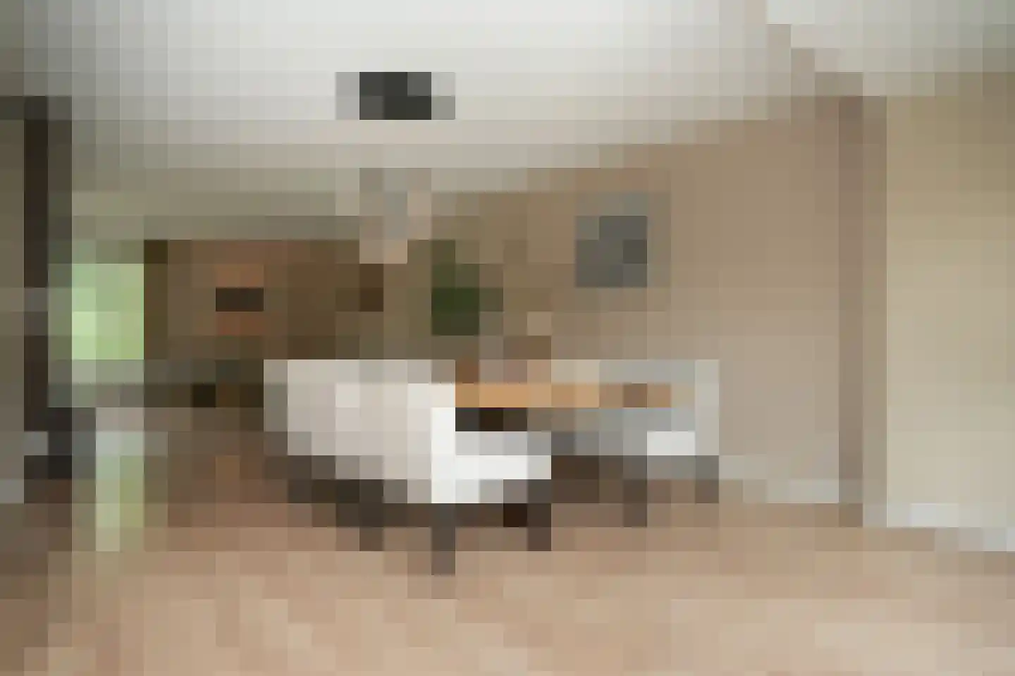 Tweelingenlaan 21 Eindhoven thumbnail 27