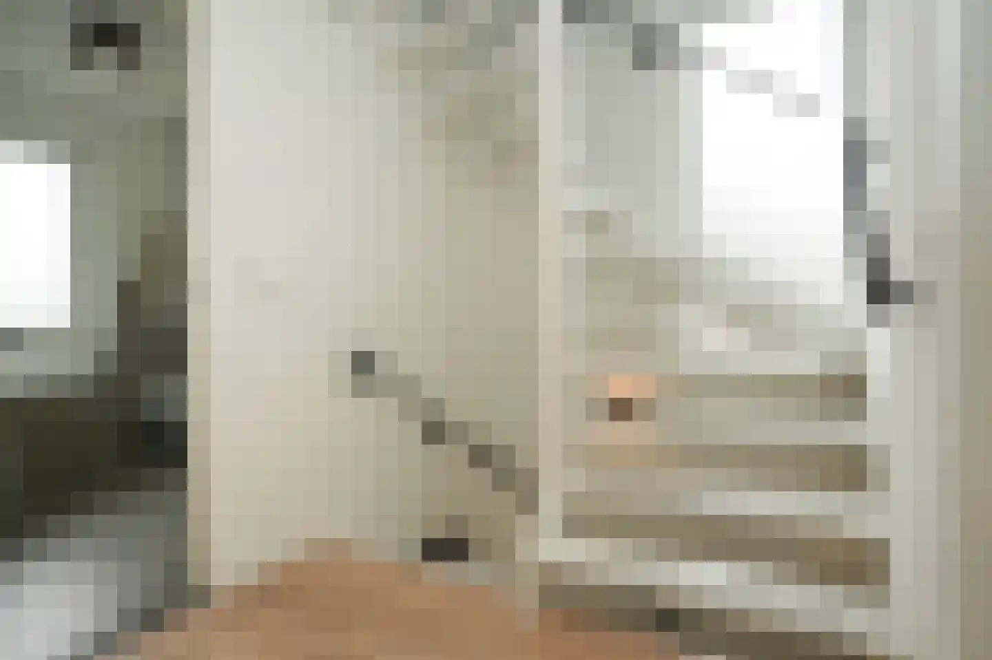 Tweelingenlaan 21 Eindhoven thumbnail 29