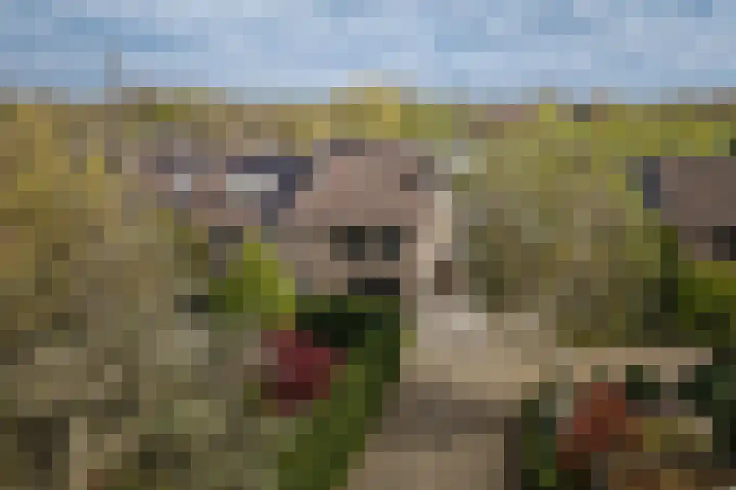 Tweelingenlaan 21 Eindhoven thumbnail 5