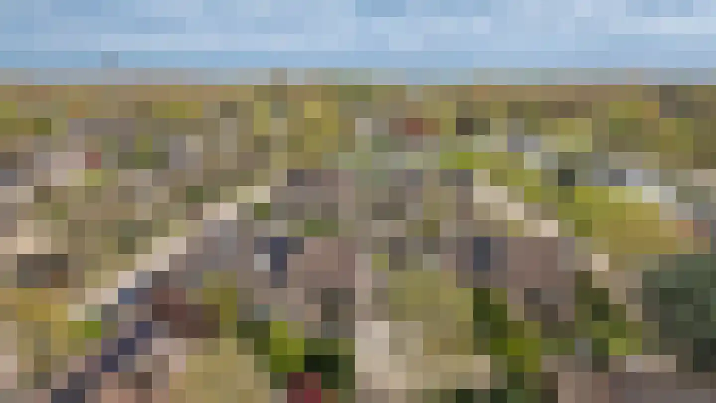 Tweelingenlaan 21 Eindhoven thumbnail 61