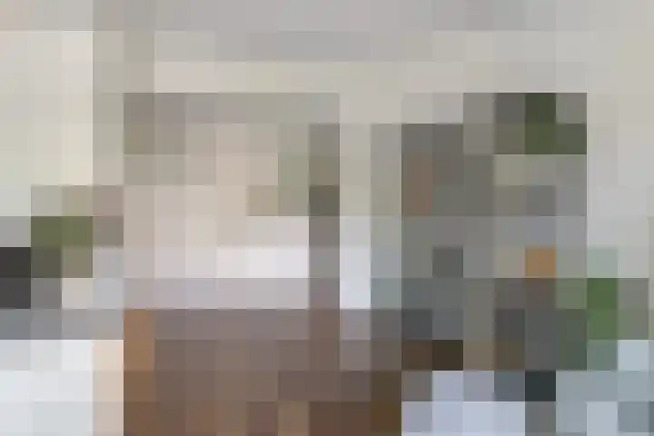 Tweelingenlaan 22 Son en Breugel thumbnail 11