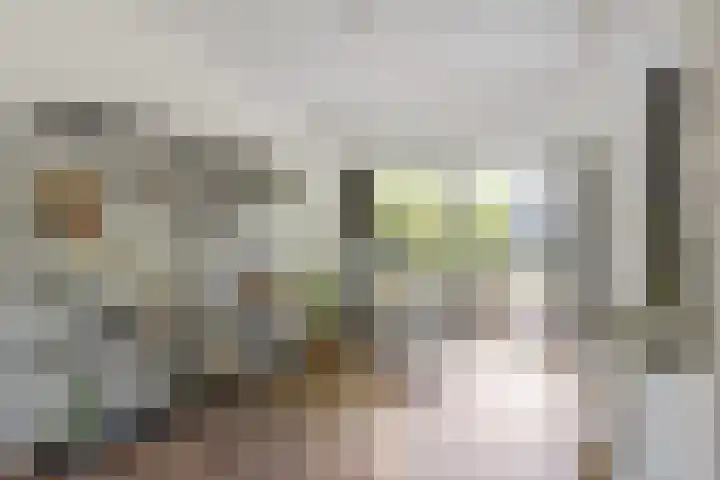 Tweelingenlaan 22 Son en Breugel thumbnail 12