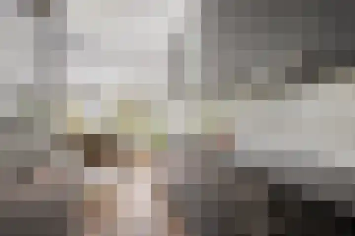 Tweelingenlaan 22 Son en Breugel thumbnail 13