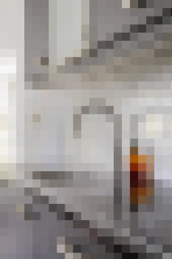 Tweelingenlaan 22 Son en Breugel thumbnail 14