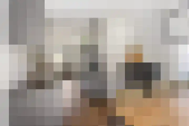 Tweelingenlaan 22 Son en Breugel thumbnail 15