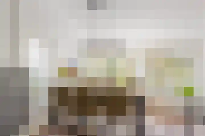 Tweelingenlaan 22 Son en Breugel thumbnail 16